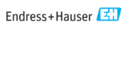 Endress+Hauser logo